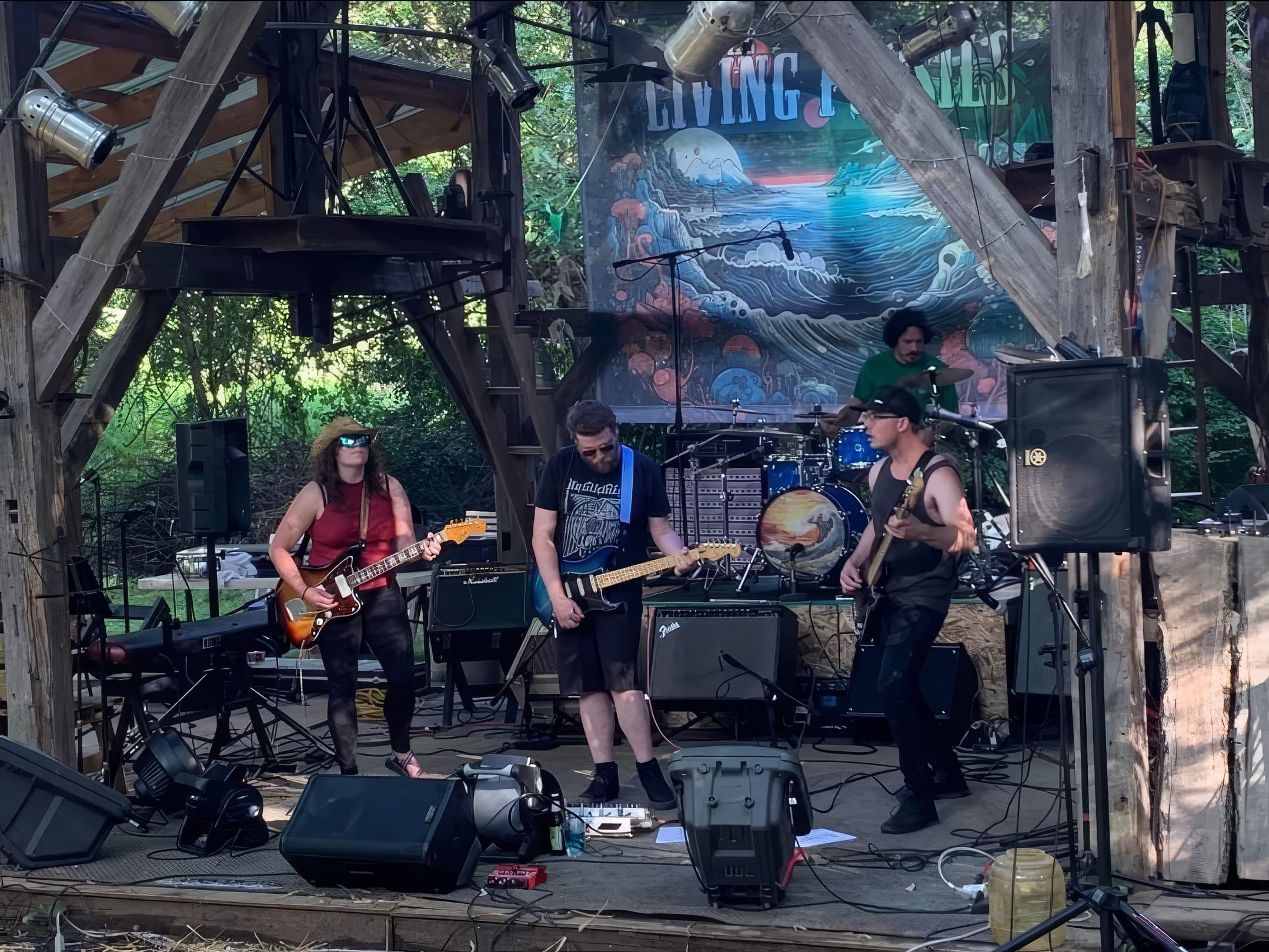 The Living Fossils performing live